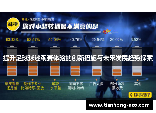 提升足球球迷观赛体验的创新措施与未来发展趋势探索