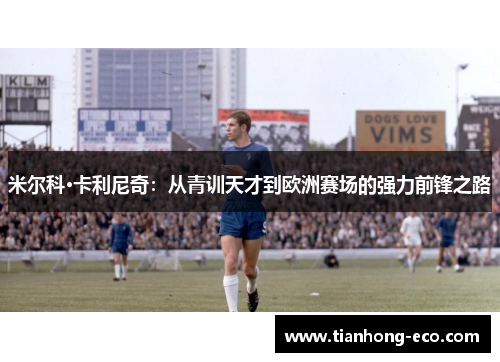 米尔科·卡利尼奇:从青训天才到欧洲赛场的强力前锋之路 米尔科·卡利尼奇:从青训天才到欧洲赛场的强力前锋之路