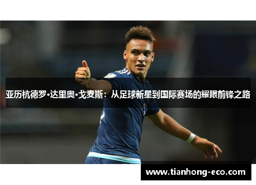 亚历杭德罗·达里奥·戈麦斯：从足球新星到国际赛场的耀眼前锋之路