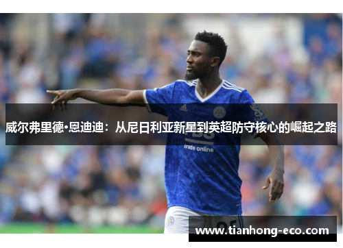 威尔弗里德·恩迪迪:从尼日利亚新星到英超防守核心的崛起之路 威尔弗里德·恩迪迪:从尼日利亚新星到英超防守核心的崛起之路