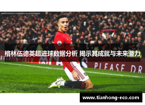 格林伍德英超进球数据分析 揭示其成就与未来潜力