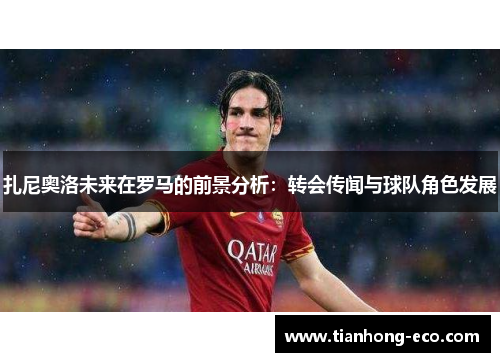 扎尼奥洛未来在罗马的前景分析：转会传闻与球队角色发展