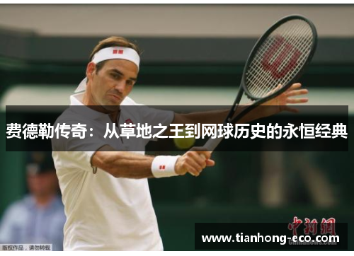 费德勒传奇：从草地之王到网球历史的永恒经典