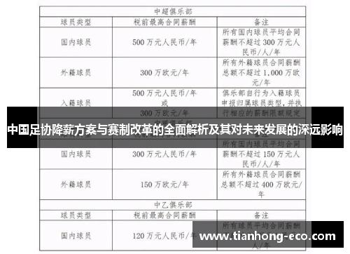 中国足协降薪方案与赛制改革的全面解析及其对未来发展的深远影响