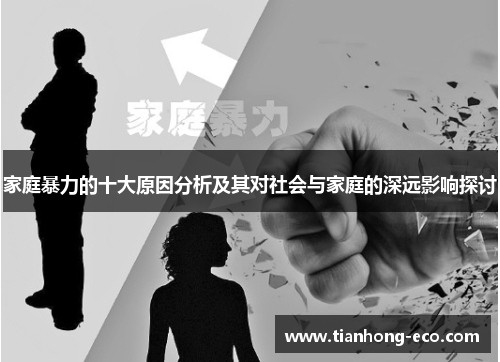 家庭暴力的十大原因分析及其对社会与家庭的深远影响探讨