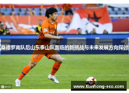 桑德罗离队后山东泰山队面临的新挑战与未来发展方向探讨