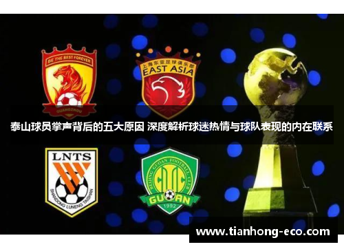 泰山球员掌声背后的五大原因 深度解析球迷热情与球队表现的内在联系