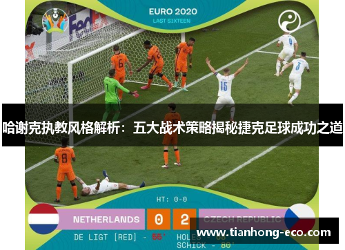 哈谢克执教风格解析：五大战术策略揭秘捷克足球成功之道