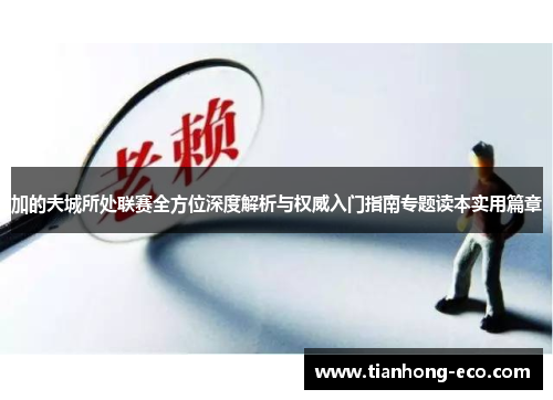 加的夫城所处联赛全方位深度解析与权威入门指南专题读本实用篇章