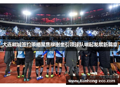 大连鲲城签约策略聚焦穆谢奎引领球队崛起发展新篇章 大连鲲城签约策略聚焦穆谢奎引领球队崛起发展新篇章