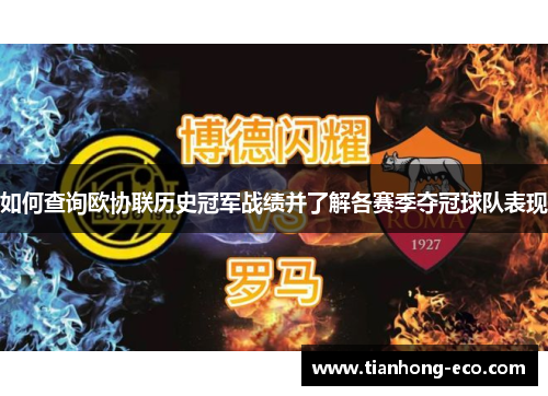 如何查询欧协联历史冠军战绩并了解各赛季夺冠球队表现 如何查询欧协联历史冠军战绩并了解各赛季夺冠球队表现
