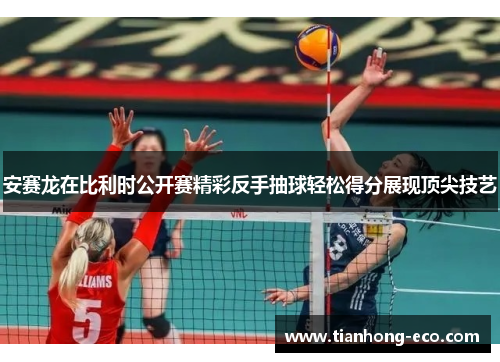 安赛龙在比利时公开赛精彩反手抽球轻松得分展现顶尖技艺 安赛龙在比利时公开赛精彩反手抽球轻松得分展现顶尖技艺