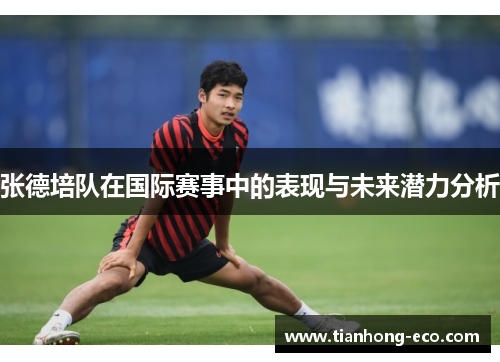 张德培队在国际赛事中的表现与未来潜力分析