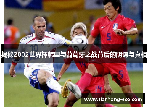 揭秘2002世界杯韩国与葡萄牙之战背后的阴谋与真相