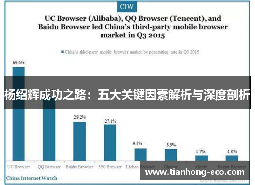 杨绍辉成功之路：五大关键因素解析与深度剖析